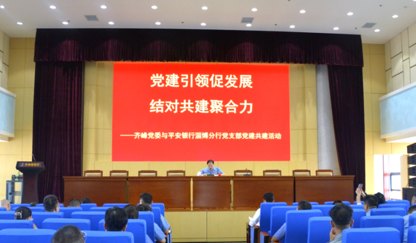 專題黨課強作風?黨建共建促提升——齊峰黨委開展六月主題黨日活動